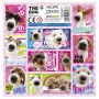 Naklejki Derform 16x16 The Dog - 4